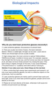 Protecting Goggles Bio Impact - Fiber Laser